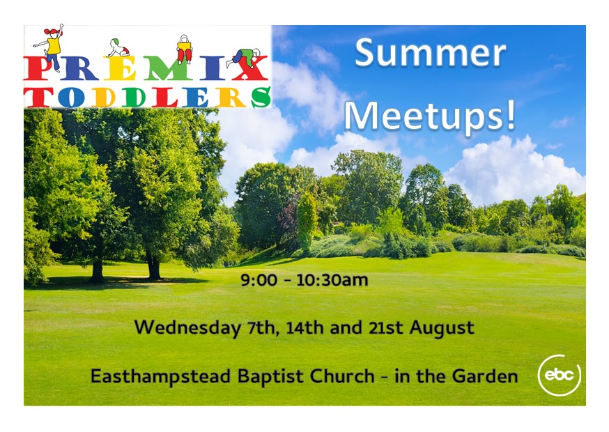 Premix Toddlers Summer meetup 